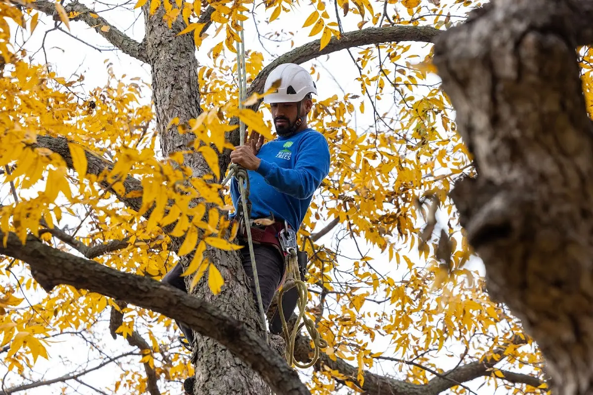 Skilled Storm Damage Cleanup crew working in Baker